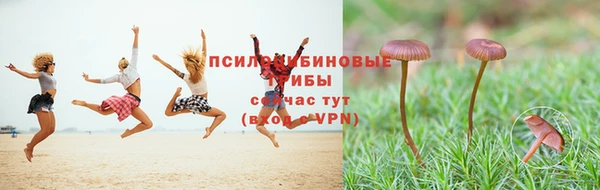 бутират Краснослободск