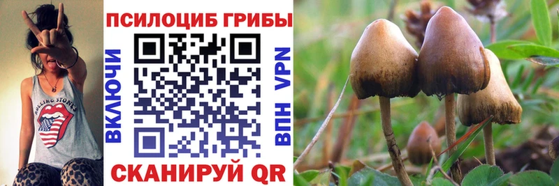 Псилоцибиновые грибы GOLDEN TEACHER  Купить  Мышкин 
